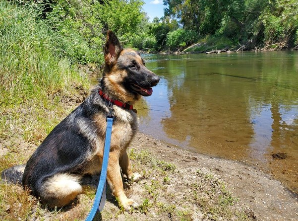 Shyla / Kaia
